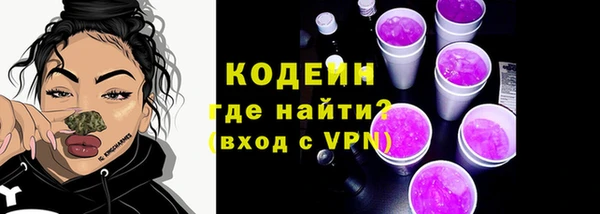 ешки Пересвет