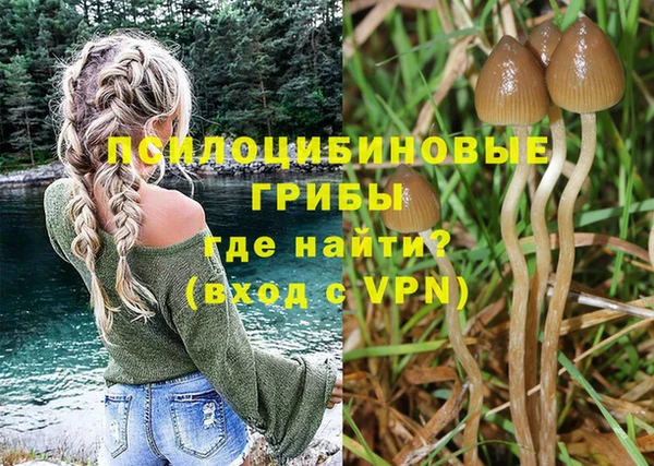 мяу мяу мука Переславль-Залесский