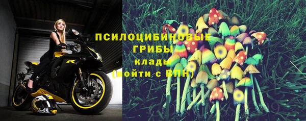 ешки Пересвет