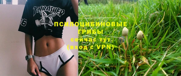 ешки Пересвет