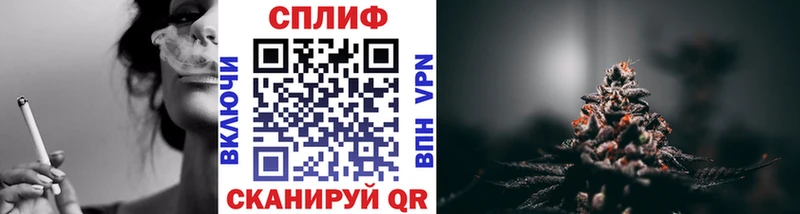 Бошки Шишки план Баймак